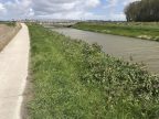 Fietsroute fietsblog polders Blankenbergse Vaart