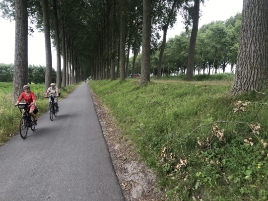 Fietsroute review fietsblog Brugge fietsen Damse Vaart
