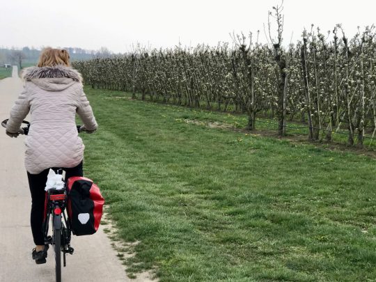 Fietsroute, fietsblog, fietsparadijs, Limburg, fruitstreek, bloesemroute