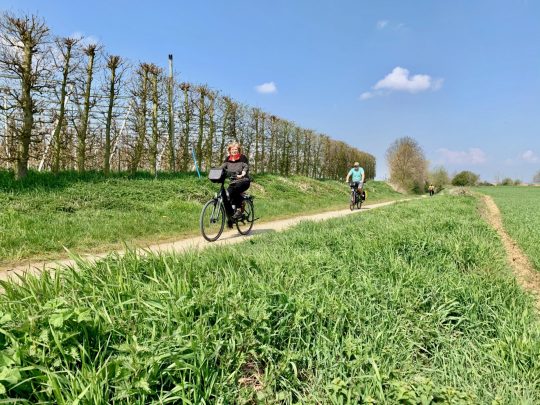 Fietsroute, fietsblog, fietsparadijs, Limburg, Haspengouw, Bloesemroute