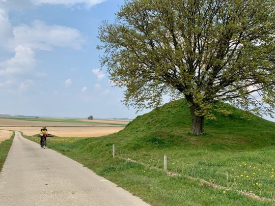 Fietsroute, fietsblog, fietsparadijs, Limburg, Haspengouw, Bloesemroute, Twee Tommen, Gingelom
