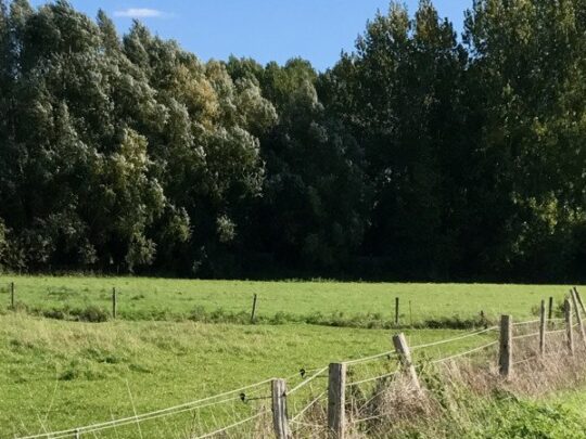 Fietsroute, fietstour, fietsuitstap, fietsblog, review, fietsverslag, Scheldevalleiroute 1, Merelbeekse Scheldemeersen