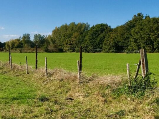 Fietsroute, fietstour, fietsuitstap, fietsblog, review, fietsverslag, Scheldevalleiroute 1, Merelbeekse Scheldemeersen