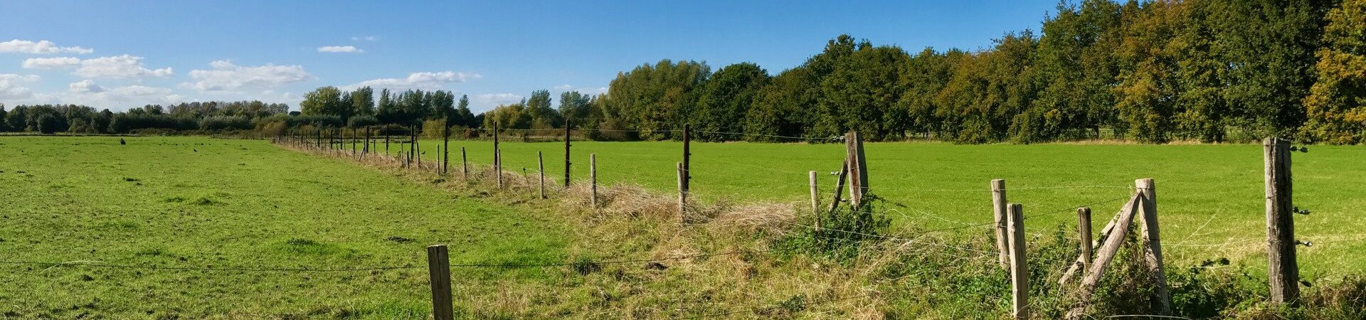 Fietsroute, fietstour, fietsuitstap, fietsblog, review, fietsverslag, Scheldevalleiroute 1, Merelbeekse Scheldemeersen