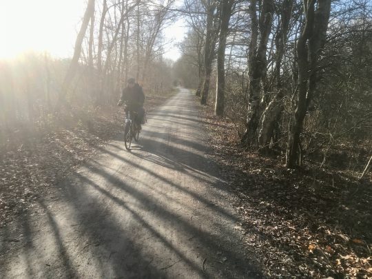 Fietsroute, fietstour, fietsuitstap, fietsblog, review, fietsverslag, Groene Gordel Brugge, Ryckeveldbos , Abdijenroute