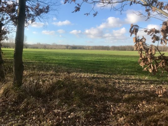 Fietsroute, fietstour, fietsuitstap, fietsblog, review, fietsverslag, Groene Gordel Brugge, Ryckeveldbos , Abdijenroute