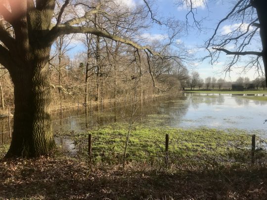 Fietsroute, fietstour, fietsuitstap, fietsblog, review, fietsverslag, Groene Gordel Brugge, Ryckeveldbos , Abdijenroute