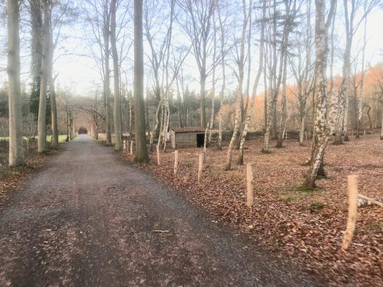 Fietsroute, fietstour, fietsuitstap, fietsblog, review, fietsverslag, Groene Gordel Brugge, Domein Beisbroek