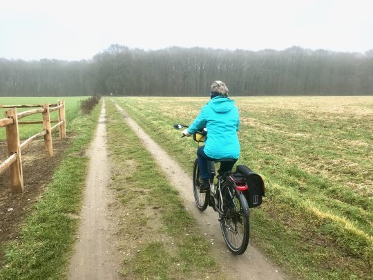 Fietsroute, fietstour, fietsuitstap, fietsblog, review, fietsverslag, Witte Goud route (oost), Steentjesbos Kampenhout