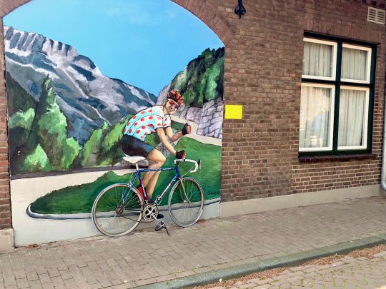 Fietsroute, fietstour, fietsuitstap, fietsblog, review, fietsverslag, Nationaal Park De Maasduinen