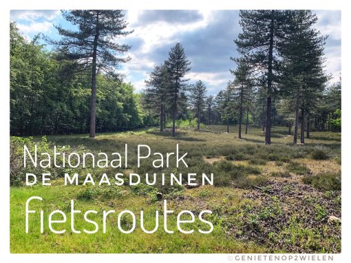 Fietsroute, fietstour, fietsuitstap, fietsblog, review, fietsverslag, Nationaal Park De Maasduinen