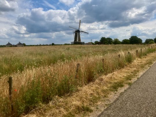 Fietsroute, fietstour, fietsuitstap, fietsblog, review, fietsverslag, Fietsen door het land van de Berkel, Hollandsche molen