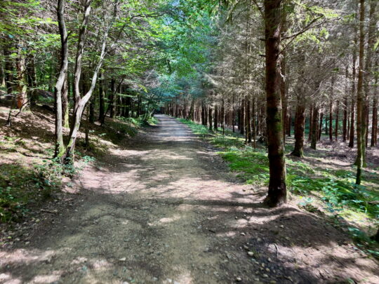 fietsblog, review, fietsverslag, fietsvakantie, fietstour, fietsroute, Le Pays d'Arlon, Le Belarel, GR14