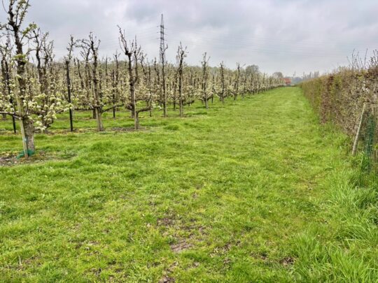 fietsblog, review, fietsverslag, fietsvakantie, fietstour, fietsroute, Deinze Bierfietsroute