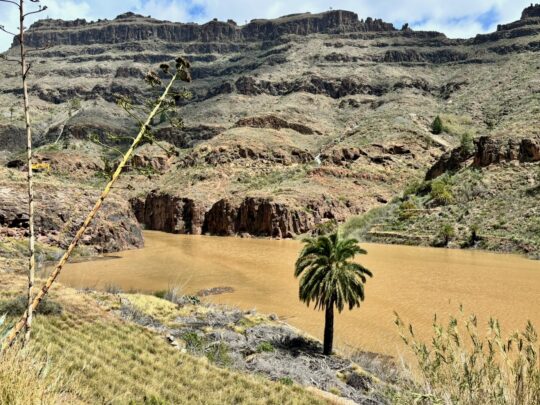 fietsblog, review, fietsverslag, fietsvakantie, fietstour, fietsroute, fietsvakantie, fietsreis, Gran Canaria, presa de la Gambuesa