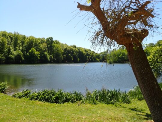 fietsblog, review, fietsverslag, fietsvakantie, fietstour, fietsroute, Zoniënroute, Warandepark Tervuren