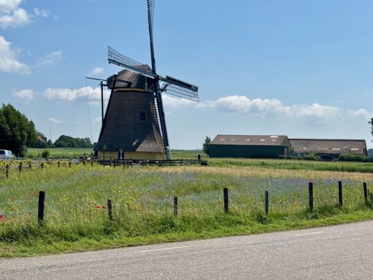 fietsblog, review, fietsverslag, fietsvakantie, fietstour, fietsroute, fietsreis, rondje Friesland, rondje Groningen, fietsen in Nederland, Workum, Nijlânnermolen