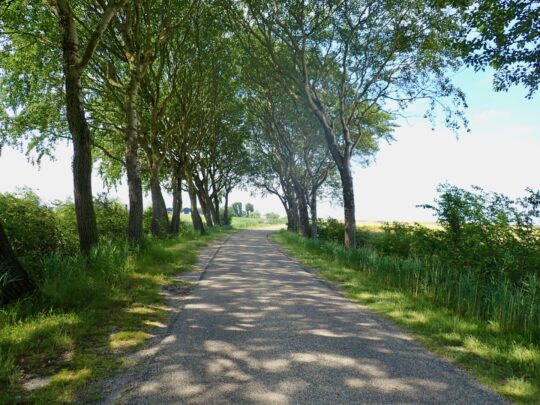 fietsblog, review, fietsverslag, fietsvakantie, fietstour, fietsroute, fietsreis, rondje Friesland, rondje Groningen, fietsen in Nederland, Oosterbierum