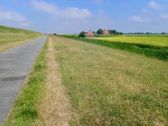 fietsblog, review, fietsverslag, fietsvakantie, fietstour, fietsroute, fietsreis, rondje Friesland, rondje Groningen, fietsen in Nederland, Poldijk, Sint-Annaparochie