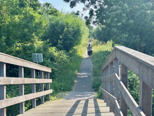 fietsblog, review, fietsverslag, fietsvakantie, fietstour, fietsroute, fietsreis, rondje Friesland, rondje Groningen, fietsen in Nederland, Leeuwarder bos