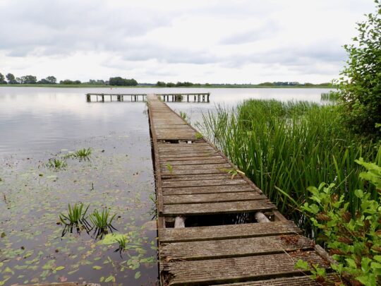 fietsblog, review, fietsverslag, fietsvakantie, fietstour, fietsroute, fietsreis, rondje Friesland, rondje Groningen, fietsen in Nederland, Lindevallei