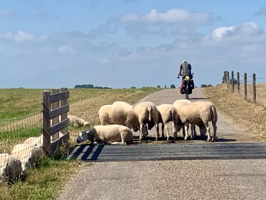 fietsblog, review, fietsverslag, fietsvakantie, fietstour, fietsroute, fietsreis, rondje Friesland, rondje Groningen, fietsen in Nederland, Marrum, Noorderleeg, Noarderleech