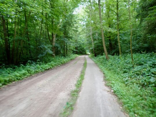 fietsblog, review, fietsverslag, fietsvakantie, fietstour, fietsroute, fietsreis, rondje Friesland, rondje Groningen, fietsen in Nederland, Kuinderbos