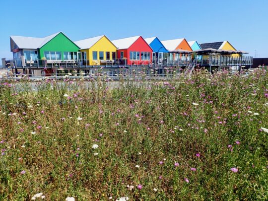 fietsblog, review, fietsverslag, fietsvakantie, fietstour, fietsroute, fietsreis, rondje Friesland, rondje Groningen, fietsen in Nederland, Lauwersoog