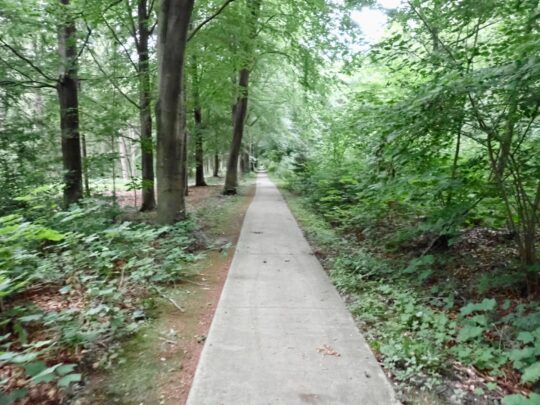 fietsblog, review, fietsverslag, fietsvakantie, fietstour, fietsroute, fietsreis, rondje Friesland, rondje Groningen, fietsen in Nederland, Kuinderbos,