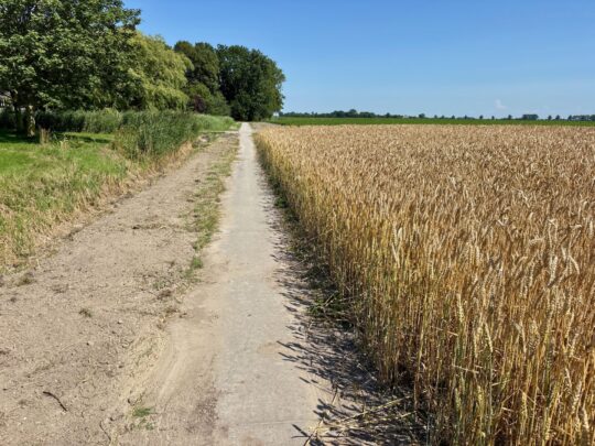 fietsblog, review, fietsverslag, fietsvakantie, fietstour, fietsroute, fietsreis, rondje Friesland, rondje Groningen, fietsen in Nederland, Pieterburen, Het Hogeland,