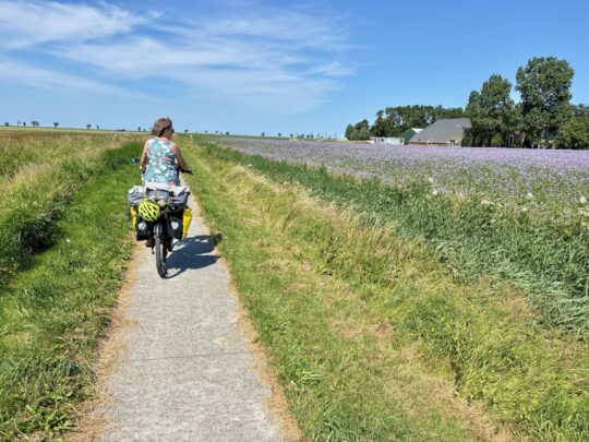 fietsblog, review, fietsverslag, fietsvakantie, fietstour, fietsroute, fietsreis, rondje Friesland, rondje Groningen, fietsen in Nederland, Pieterburen, Het Hogeland,