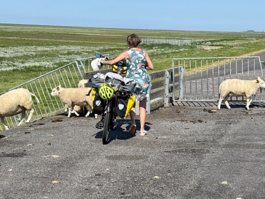 fietsblog, review, fietsverslag, fietsvakantie, fietstour, fietsroute, fietsreis, rondje Friesland, rondje Groningen, fietsen in Nederland, Noordpolder