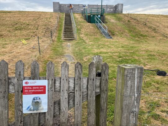 fietsblog, review, fietsverslag, fietsvakantie, fietstour, fietsroute, fietsreis, rondje Friesland, rondje Groningen, fietsen in Nederland, Dollard, zeehonden, Kerkeriet