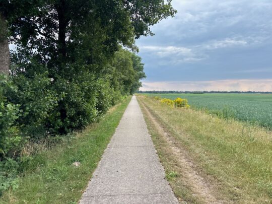fietsblog, review, fietsverslag, fietsvakantie, fietstour, fietsroute, fietsreis, rondje Friesland, rondje Groningen, fietsen in Nederland, Dagpauwoog