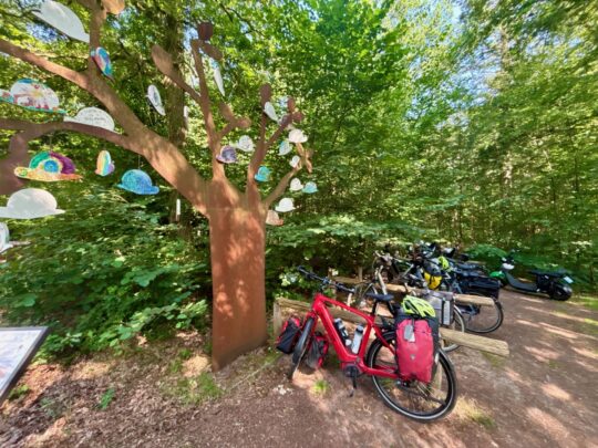 fietsblog, review, fietsverslag, fietsvakantie, fietstour, fietsroute, fietsreis, rondje Friesland, rondje Groningen, fietsen in Nederland, natuurgebied Ter Borg, Kopje Genieten Café