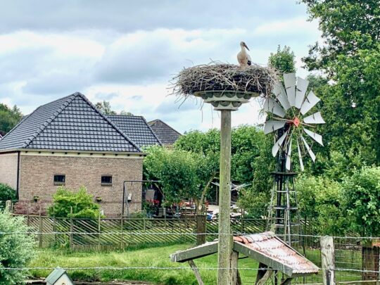 fietsblog, review, fietsverslag, fietsvakantie, fietstour, fietsroute, fietsreis, rondje Friesland, rondje Groningen, fietsen in Nederland, Slijkenburg