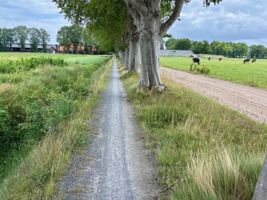 fietsblog, review, fietsverslag, fietsvakantie, fietstour, fietsroute, fietsreis, rondje Friesland, rondje Groningen, fietsen in Nederland, Haulerweg