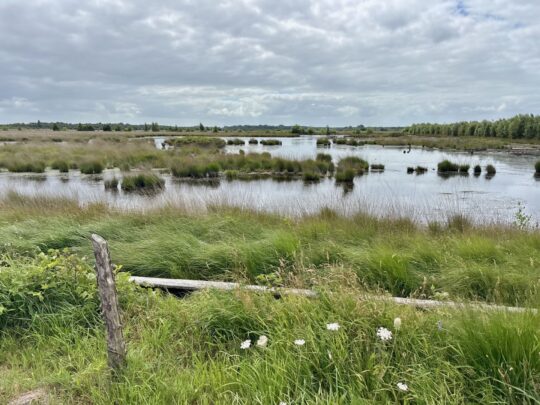 fietsblog, review, fietsverslag, fietsvakantie, fietstour, fietsroute, fietsreis, rondje Friesland, rondje Groningen, fietsen in Nederland, Fochteloërveen