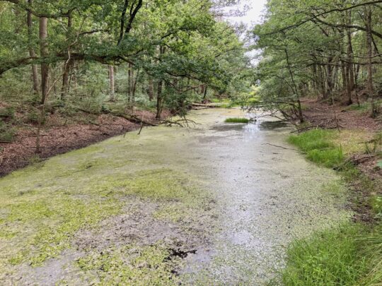 fietsblog, review, fietsverslag, fietsvakantie, fietstour, fietsroute, fietsreis, rondje Friesland, rondje Groningen, fietsen in Nederland, Fochteloërveen