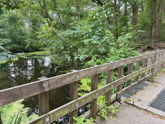 fietsblog, review, fietsverslag, fietsvakantie, fietstour, fietsroute, fietsreis, rondje Friesland, rondje Groningen, fietsen in Nederland, Fochteloërveen