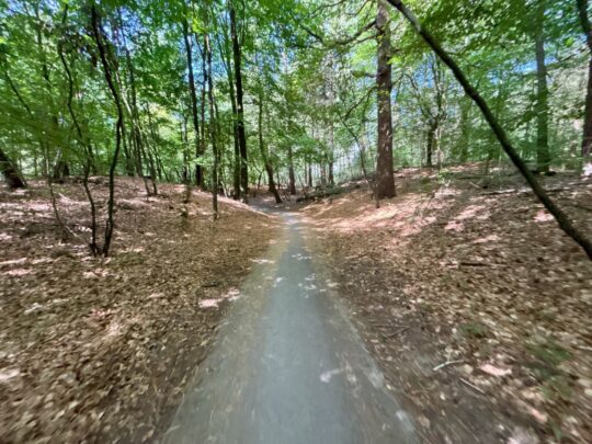 fietsblog, review, fietsverslag, fietsvakantie, fietstour, fietsroute, fietsreis, rondje Friesland, rondje Groningen, fietsen in Nederland, Drents-Friese Wold