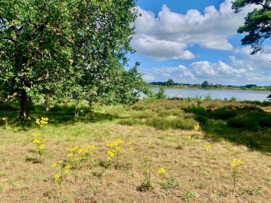 fietsblog, review, fietsverslag, fietsvakantie, fietstour, fietsroute, fietsreis, rondje Friesland, rondje Groningen, fietsen in Nederland, Drents-Friese Wold
