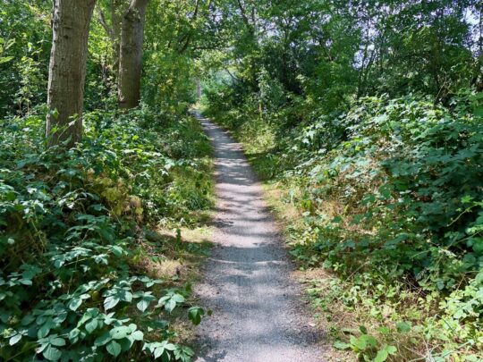 fietsblog, review, fietsverslag, fietsvakantie, fietstour, fietsroute, fietsreis, rondje Friesland, rondje Groningen, fietsen in Nederland, Oude Jokweg